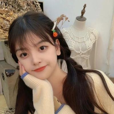 妄想学生会第一季封面