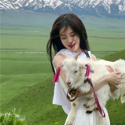边城英烈传封面